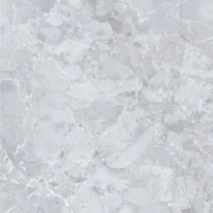 Керамический гранит Dako Genio серый E-3019/MR 60х60 см