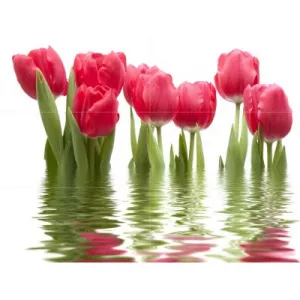 Панно Нефрит-Керамика Тюльпаны светлое 06-01-1-64-04-21-160-0 75х100