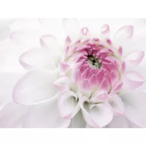 Панно Нефрит-Керамика Виолетта лиловое 75х100 см