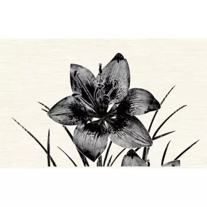 Декор Нефрит-Керамика Piano черный 96-46-04-8101 40х25