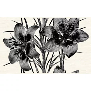 Декор Нефрит-Керамика Piano черный 96-46-04-8102 40х25