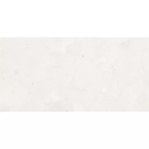 Керамогранит Lasselsberger Ceramics Ниагара светло-серый 30х60 см